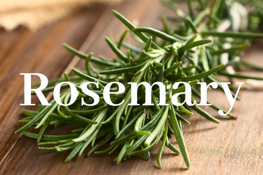 Ca'Mora_Rosemary_Organic_body_oil
