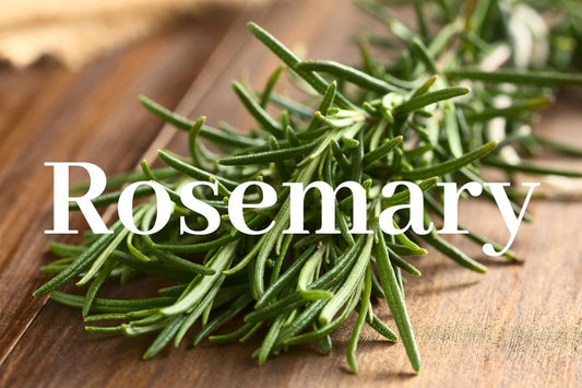 Ca'Mora_Rosemary_Organic_body_oil