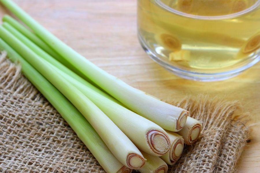 The Benefits of Lemongrass in Organic Skin Care Products