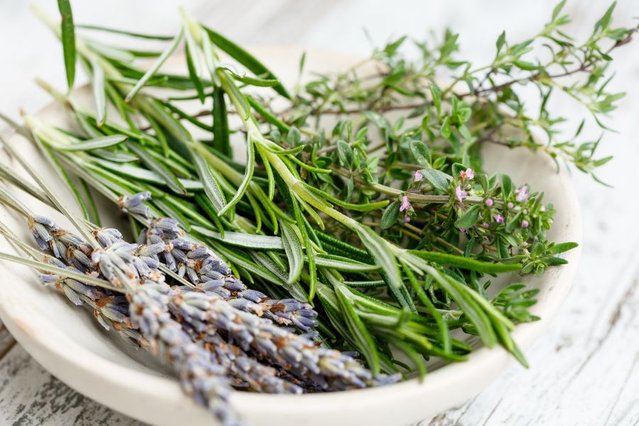 Organic rosemary used in Ca'Mora products