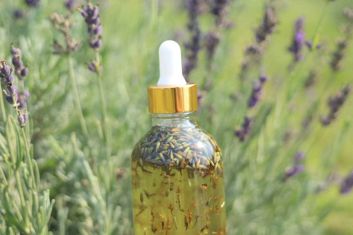 Organic lavender body oil sitting in field of lavender in Missouri Valley Iowa.