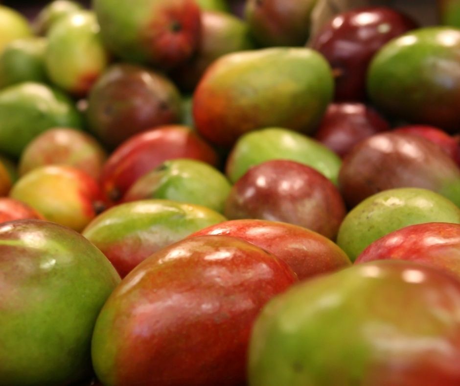 Organic mangos used to infuse the organic mango body oil