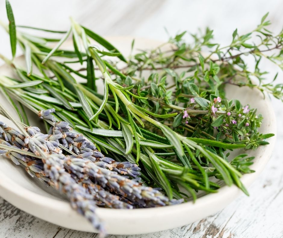 Organic rosemary and lavender used to infuse into the Ca'Mora organic body oil.